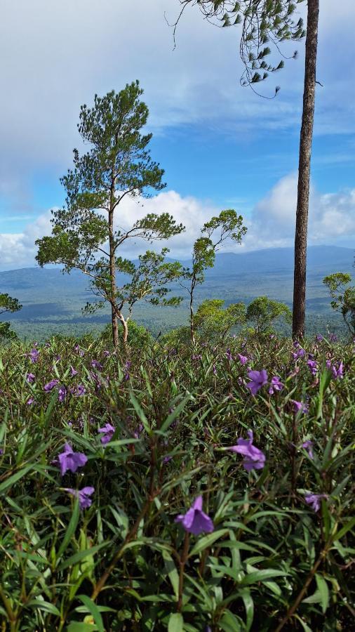 Romdoul Kirirom Resort Kampong Speu Buitenkant foto