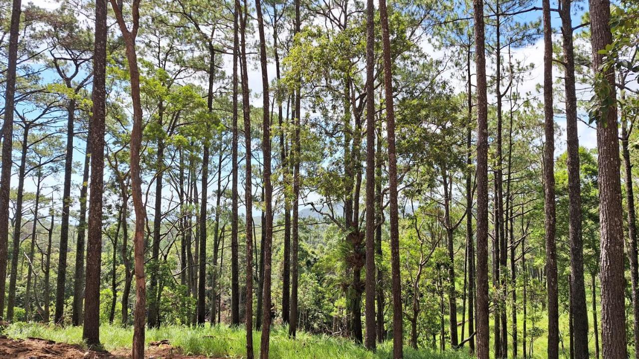 Romdoul Kirirom Resort Kampong Speu Buitenkant foto