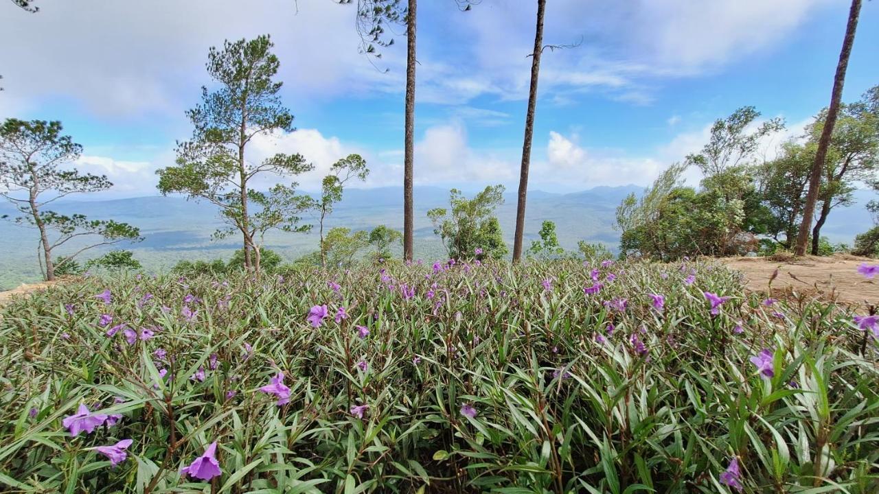 Romdoul Kirirom Resort Kampong Speu Buitenkant foto